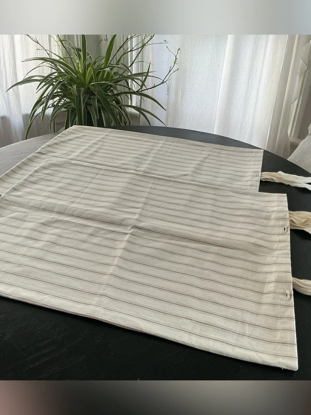 NWOT Pair of Ticking BALLARD SHAMS